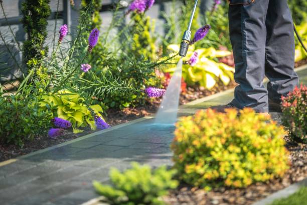 Trusted Apalachin, NY Pressure Washing Services Experts