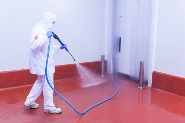 Best Roof Washing  in Apalachin, NY