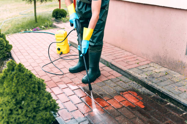 Best Driveway Pressure Washing  in Apalachin, NY