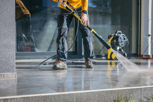 Best Animal Enclosure Cleaning  in Apalachin, NY